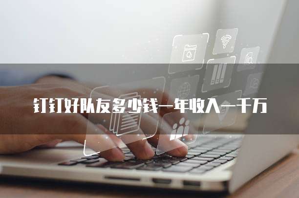 钉钉好队友多少钱一年收入一千万