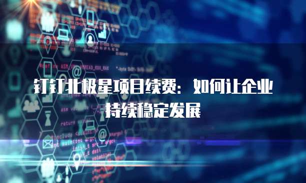钉钉北极星项目续费：如何让企业持续稳定发展