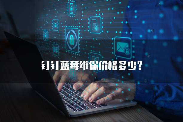 钉钉蓝莓维保价格多少?