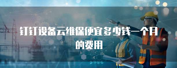 钉钉设备云维保便宜多少钱一个月的费用
