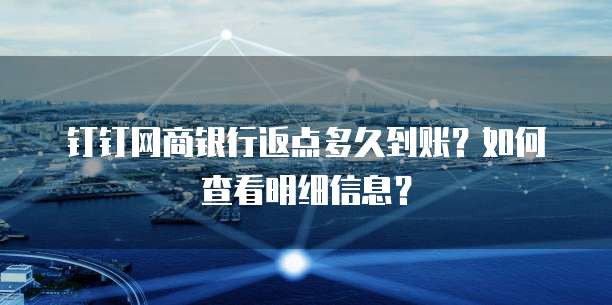 钉钉网商银行返点多久到账?如何查看明细信息?