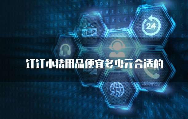 钉钉小猪用品便宜多少元合适的