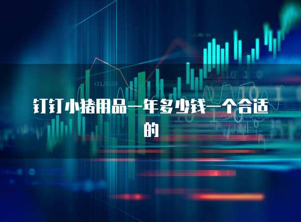 钉钉小猪用品一年多少钱一个合适的