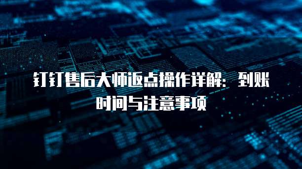 钉钉售后大师返点操作详解：到账时间与注意事项