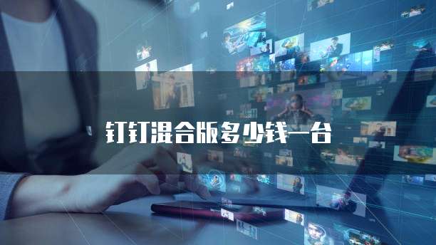 钉钉混合版多少钱一台