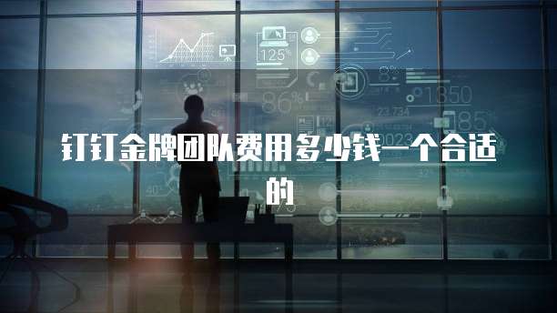 钉钉金牌团队费用多少钱一个合适的