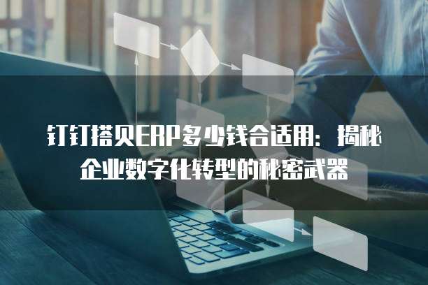 钉钉搭贝ERP多少钱合适用:揭秘企业数字化转型的秘密武器
