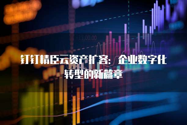 钉钉精臣云资产扩容:企业数字化转型的新篇章