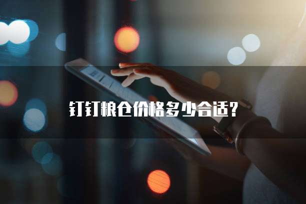 钉钉粮仓价格多少合适?