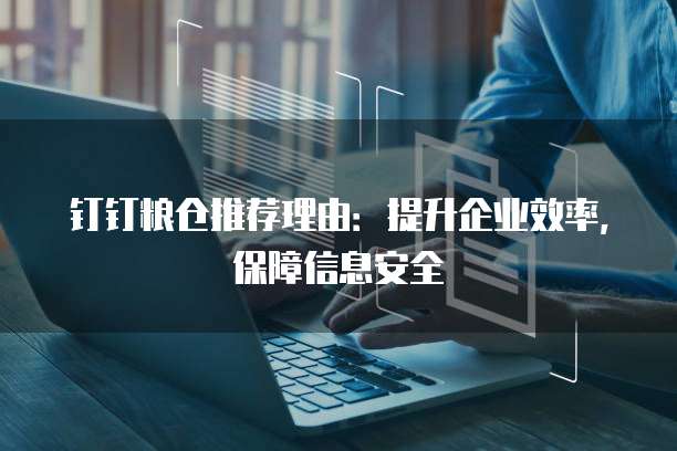 钉钉粮仓推荐理由:提升企业效率,保障信息安全
