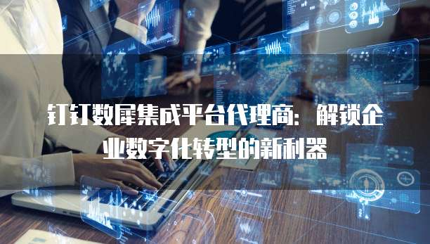 钉钉数犀集成平台代理商:解锁企业数字化转型的新利器
