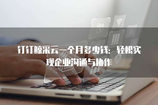 钉钉鲸采云一个月多少钱:轻松实现企业沟通与协作