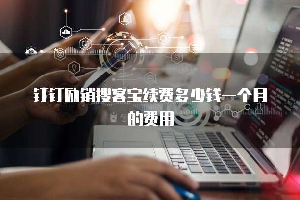 钉钉励销搜客宝续费多少钱一个月的费用