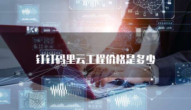 钉钉码里云工程价格是多少