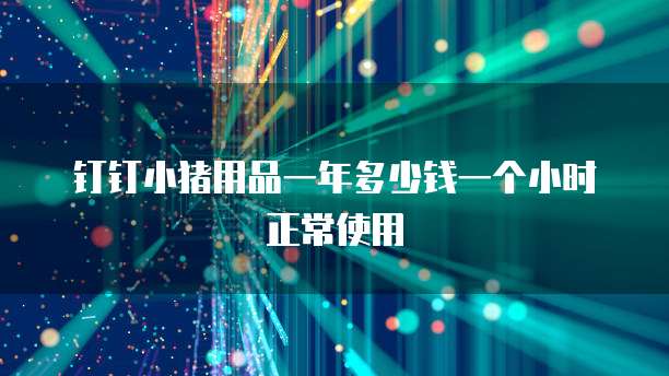 钉钉小猪用品一年多少钱一个小时正常使用