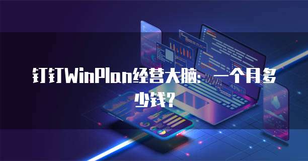 钉钉WinPlan经营大脑:一个月多少钱?
