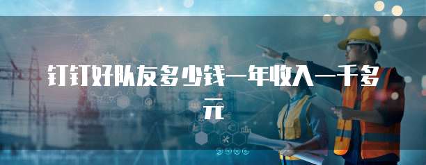 钉钉好队友多少钱一年收入一千多元