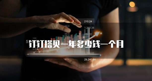 钉钉搭贝一年多少钱一个月