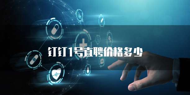 钉钉1号直聘价格多少