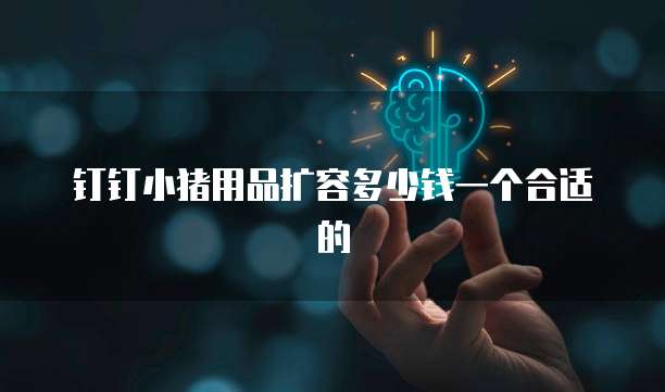钉钉小猪用品扩容多少钱一个合适的