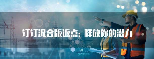 钉钉混合版返点: 释放你的潜力