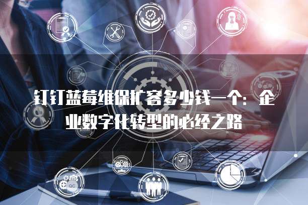 钉钉蓝莓维保扩容多少钱一个:企业数字化转型的必经之路