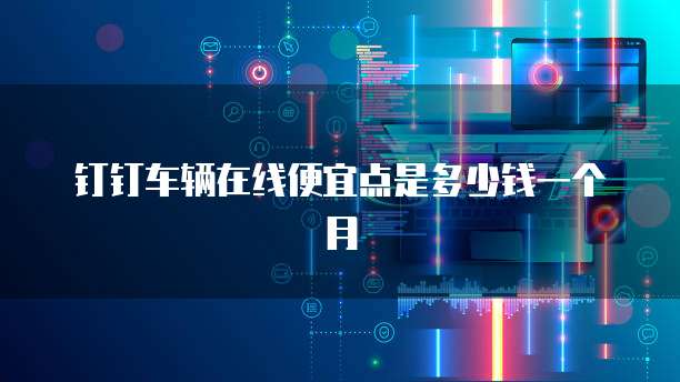 钉钉车辆在线便宜点是多少钱一个月