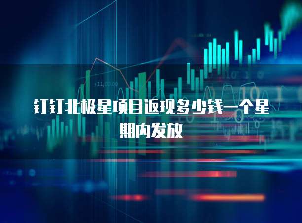 钉钉北极星项目返现多少钱一个星期内发放