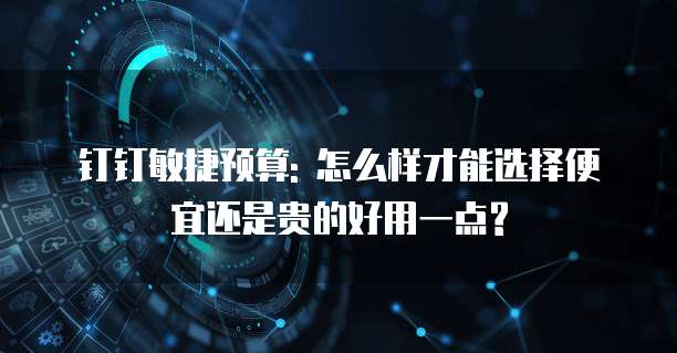 钉钉敏捷预算: 怎么样才能选择便宜还是贵的好用一点?