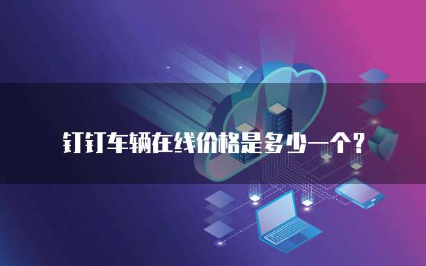 钉钉车辆在线价格是多少一个?