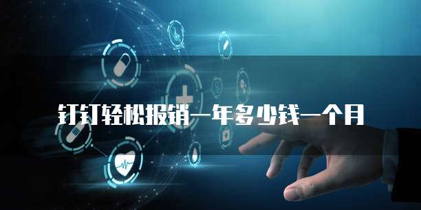 钉钉轻松报销一年多少钱一个月