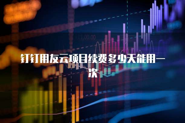 钉钉用友云项目续费多少天能用一次