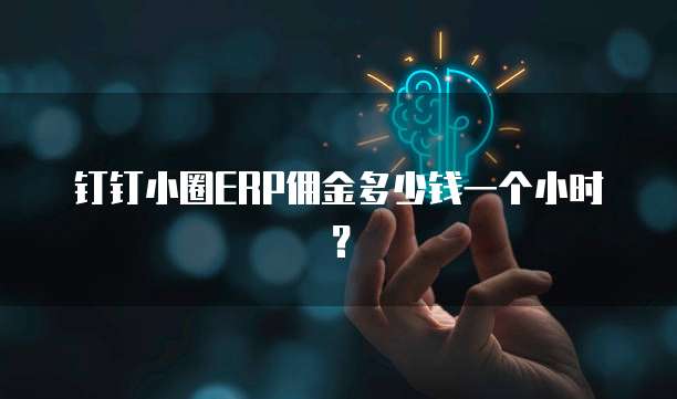 钉钉小圈ERP佣金多少钱一个小时?