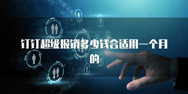 钉钉超级报销多少钱合适用一个月的