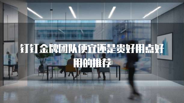 钉钉金牌团队便宜还是贵好用点好用的推荐