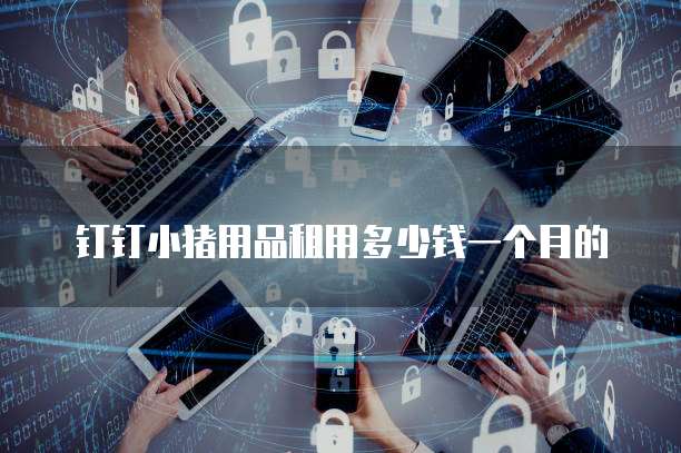 钉钉小猪用品租用多少钱一个月的
