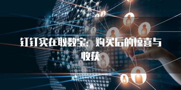 钉钉实在取数宝:购买后的惊喜与收获
