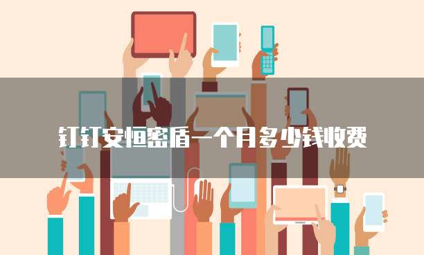 钉钉安恒密盾一个月多少钱收费