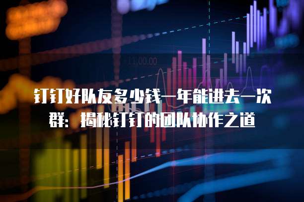 钉钉好队友多少钱一年能进去一次群:揭秘钉钉的团队协作之道