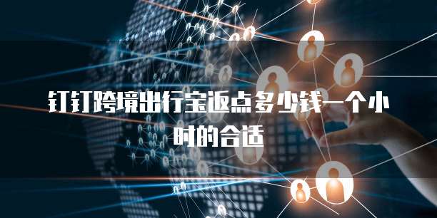钉钉跨境出行宝返点多少钱一个小时的合适