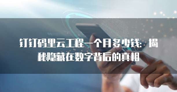 钉钉码里云工程一个月多少钱:揭秘隐藏在数字背后的真相