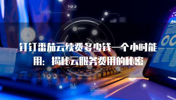 钉钉番茄云续费多少钱一个小时能用:揭秘云服务费用的秘密