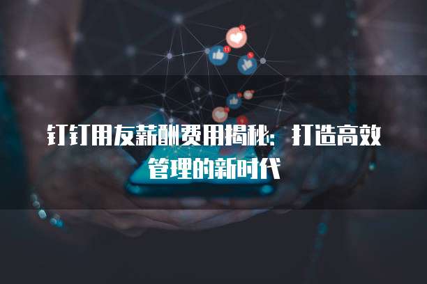 钉钉用友薪酬费用揭秘:打造高效管理的新时代
