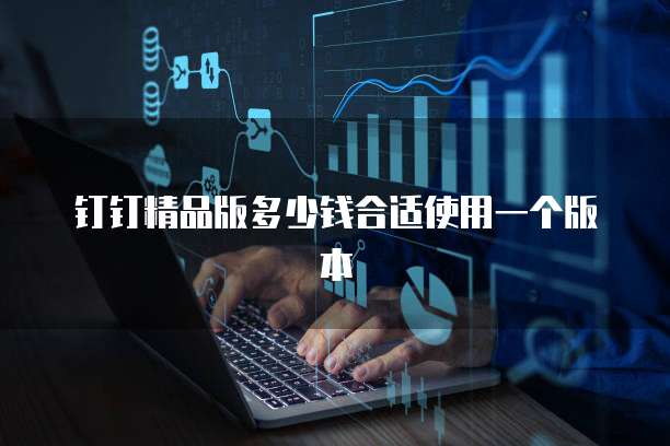 钉钉精品版多少钱合适使用一个版本