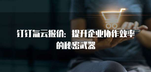 钉钉氚云报价:提升企业协作效率的秘密武器