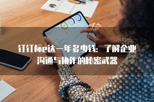 钉钉标e达一年多少钱:了解企业沟通与协作的秘密武器
