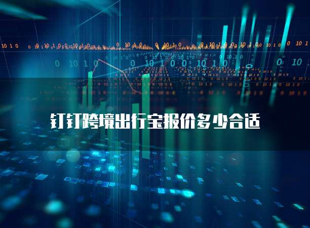 钉钉跨境出行宝报价多少合适