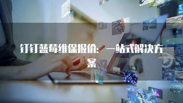 钉钉蓝莓维保报价:一站式解决方案