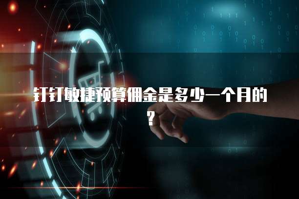 钉钉敏捷预算佣金是多少一个月的?