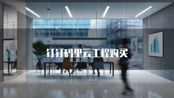 钉钉码里云工程购买